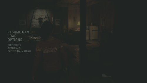 Pause screenshot of Alan Wake II video game interface.