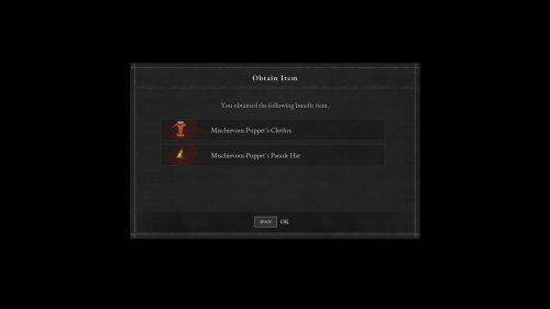 Confirmation screenshot of Lies Of P video game interface.