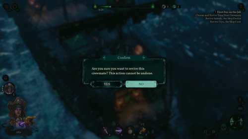 Confirmation screenshot of Shadow Gambit: The Cursed Crew video game interface.